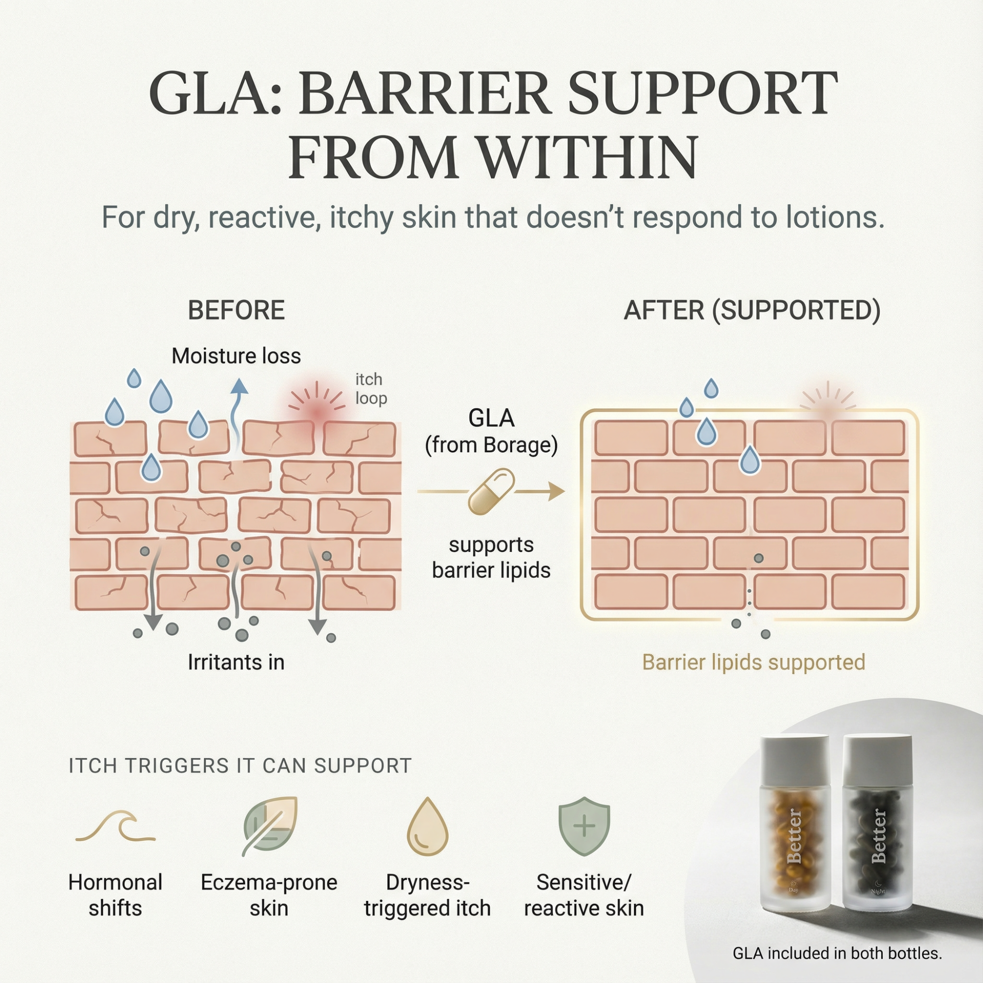 Live Better Morning And Night