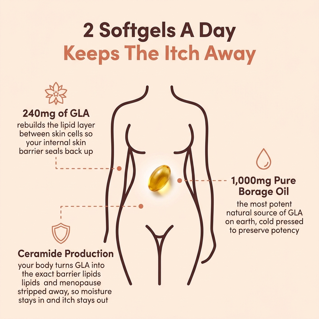 Womens Borage Oil (GLA)