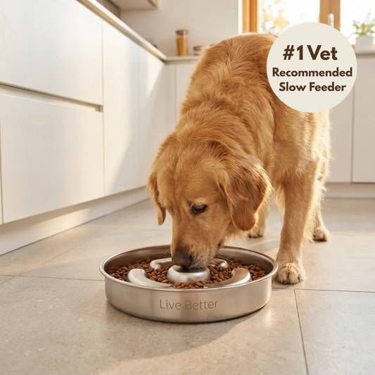 Live Better™ Slow Feeder